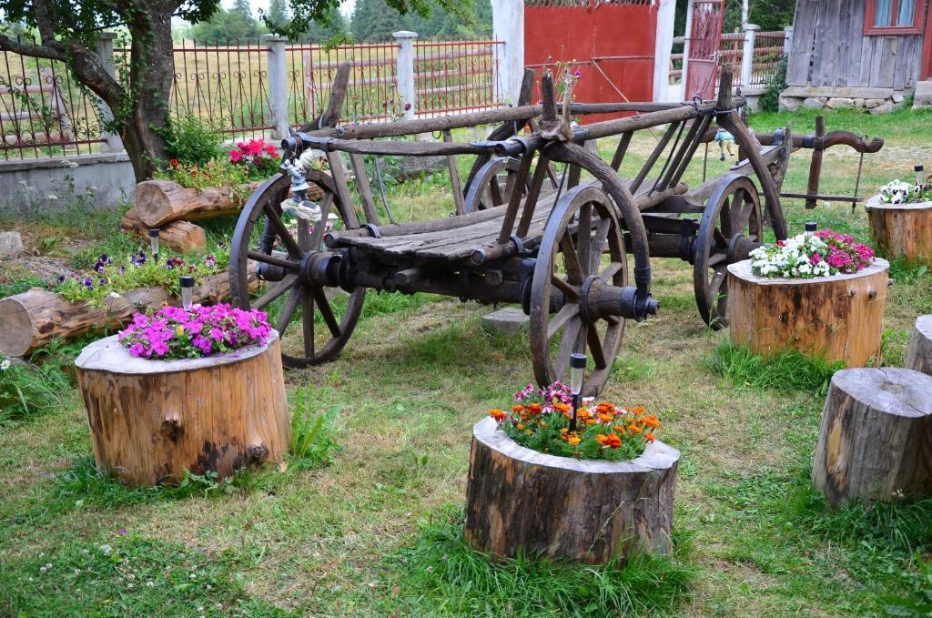 Pension Doru Белиш Экстерьер фото